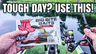 Summer Bass LOVED This Rig EASY to Use
