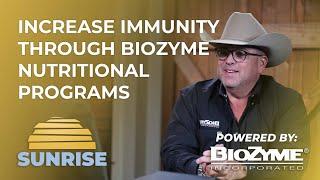 Increase Cattle Immunity through BioZyme Nutritional Programs  Superior Sunrise