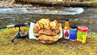 Rainbow Trout Fish n Chips  Cookout at a Mountain Creek