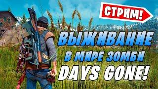 СТРИМ DAYS GONE #1 - Выживание в Эпоху Зомби  ЖИЗНЬ ПОСЛЕ