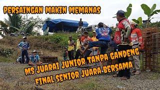 lomba jagungan 500 mtr jumat 120822 lapak pirusa