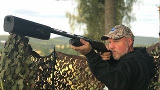 Pigeon hunting using the Benelli M2 and A-Tec A12 silencer.
