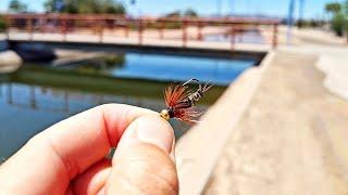 Can I Catch A MONSTER FISH With This TINY FLY?