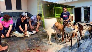 Bakron ki Qurbani kr li hai Allah kabool farmaye Hsn Entertainment Bakra Eid Special Vlog