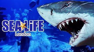 SEA LIFE London Walkthrough Tour