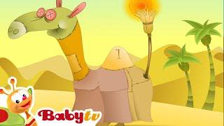 Sally the Camel  Nursery Rhymes & Kids Songs   Counting Song @BabyTV