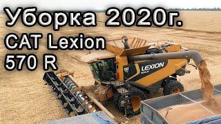 Уборка пшеницы 2020  Комбайн CAT Lexion 570 R.