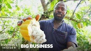 Ghana Grows Our Cocoa So Why Can’t It Make Chocolate?  Big Business