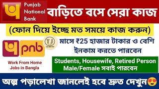 PNB Bank Work From Home Jobs  Earn Money From Home For Students  PNB Jobs 2024