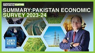 Summary Pakistan Economic Survey 2023-24  Dawn News English