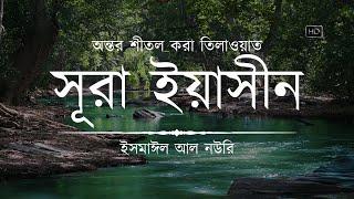 অন্তর শীতল করা সূরা ইয়াসিন এর তিলাওয়াত ┇ Surah Yasin Recited by Ismail An Nouri ┇ An Nafee