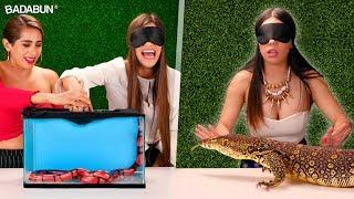 ¿Qué hay en la caja?  Nivel leyenda con YouTubers