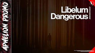 Libelum - Dangerous Original Mix