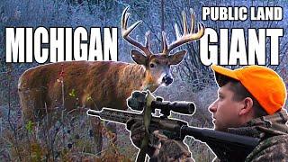 MICHIGAN RIFLE HUNTING with an AR - PUBLIC LAND