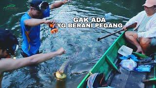 MOMEN MENEGANGKAN‼️JALA IKAN SAMBIL TEMBAK IKAN SIDAT MONSTER GEMOY