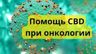 #7 CBD и болезни  Как CBD помогает при онкологических заболеваниях  MrGrowChannel