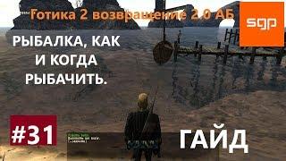 #31 РЫБАЛКА КАК И КОГДА РЫБАЧИТЬ. Готика 2 возвращение 2.0 альтернативный баланс. Гайд секреты