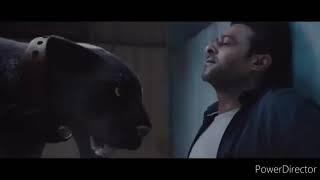 Prabhas meet Panther  in saaho movie.