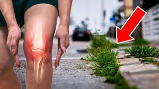 The Best Natural Remedy for Arthritis Is Growing Right on Your Sidewalk