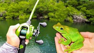 1v1 Topwater Frog ONLY Fishing Tournament INSANE