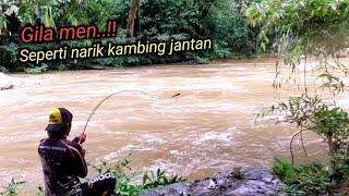 Penuh kejutan.. mancing mahseer umpan kepiting saat sungai banjir bandang