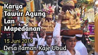 Karya Tawur Agung lan Mapedanan di Pura Desa lan Pura Puseh Desa Taman Kaje Ubud #ubudinsider