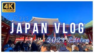 Vlog How I spent My 12 Day Trip to Japan 2024 Tokyo Kyoto Anime Shopping.