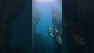 Walking the Barracuda Lake underwater Coron Palawan The Philippines