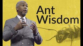 Ant Wisdom  Bishop Dale C. Bronner