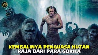 TERJADINYA PERANG BESAR ANTARA HEWAN VS MANUSIA  Alur Cerita FIlm THE LEGEND OF TARZAN 2016