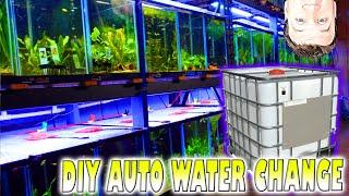 DIY Auto Water Change System Avoid My Mistakes