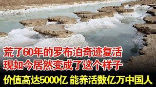 荒了60年的罗布泊奇迹复活现如今居然变成了这个样子价值高达5000亿能养活数亿万中国人