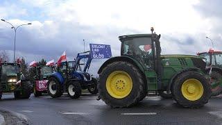 Польские фермеры против украинского зерна — Киев угрожает запретом продукции из Польши