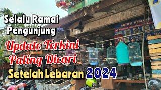 Update Terbaru Setelah Lebaran  Pasar Burung Pramuka Kios EDIE JOVANIS