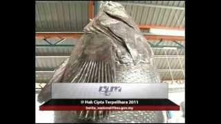 Berita Nasional - 07 Ogos 2011 Visual Ikan Kerapu Gergasi di Teluk Bahang