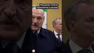 Лукашенко посетил предприятия в Шклове #shorts #лукашенко #беларусь #новости #шклов #могилев #данон