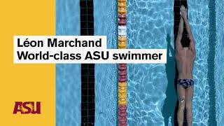Léon Marchand World-class ASU swimmer Arizona State University ASU