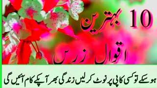 10 Best Aqwal e zareen in Urdu Best Quotes in Hind Golden words in urdu Aqwal e zareen