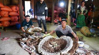 Harvesting Process of 30kg Giant Honeycomb for Sale at the End of Season  Family Farm