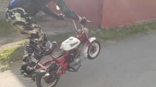 Stunt training riga mini