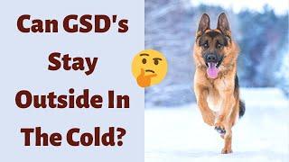 Can German Shepherds Stay Outside In The Cold?