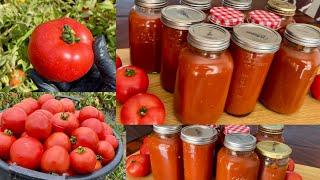 Sauce Tomate Faite Maison Pour Vos Pâtes Pizza et Autres