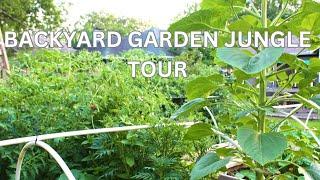 Ultimate Backyard Garden Tour - Plant Lovers Must See  June 2024