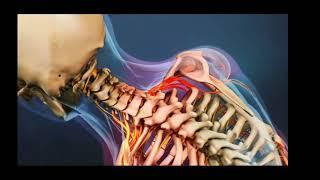 Saraf Kecetit pada Leher  HNP cervical - Dr. Eko Agus Subagio dr. Sp. Bedah Saraf K Spine