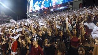 South Carolina Gamecocks Sandstorm