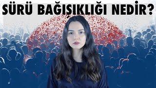 SÜRÜ BAĞIŞIKLIĞI NEDİR?