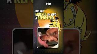 Un REPORTERO  intentó demostrar que el PERRITO BRUNO  no era BRAVO pero terminó MORDIDO 