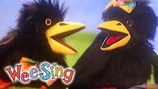 Flying Through The Sky With The Birds  Animal Songs  Wee Sing