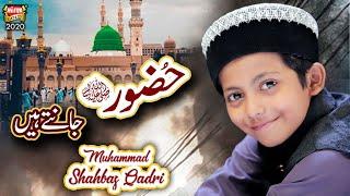 Muhammad Shahbaz Qadri  Huzoor Jante Hain  New Heart Touching Naat 2021  Heera Gold