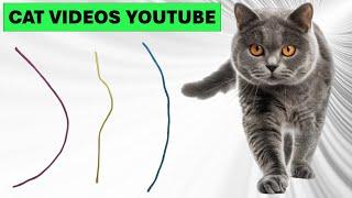 고양이가 좋아하는 영상 3분마다 바뀌는 영상 고양이 장난감 45탄 cat videos youtube 외출 취침시 TV또는 스마트폰으로 틀어주세요